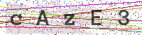 Enter Security Code