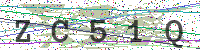 Enter Security Code