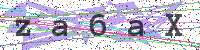 Enter Security Code