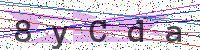 Enter Security Code
