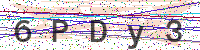 Enter Security Code