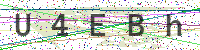 Sicherheitscode eingeben
