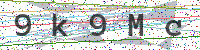 Sicherheitscode eingeben