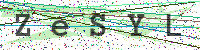 Enter Security Code