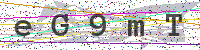 Sicherheitscode eingeben