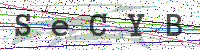 Sicherheitscode eingeben