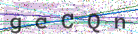 Enter Security Code