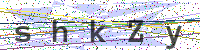 Sicherheitscode eingeben