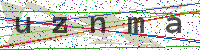 Sicherheitscode eingeben