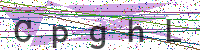Enter Security Code