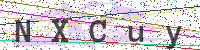 Enter Security Code