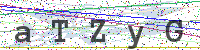 Enter Security Code