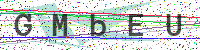 Sicherheitscode eingeben