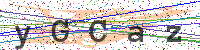 Enter Security Code