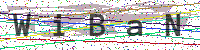 Sicherheitscode eingeben
