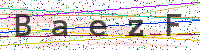 Enter Security Code