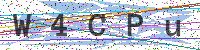 Enter Security Code