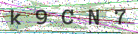 Enter Security Code