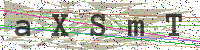 Sicherheitscode eingeben