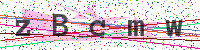 Enter Security Code