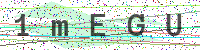 Enter Security Code