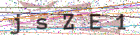 Enter Security Code