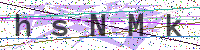 Sicherheitscode eingeben