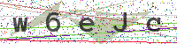 Enter Security Code
