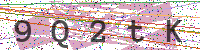 Enter Security Code
