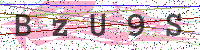 Enter Security Code