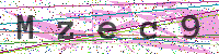 Enter Security Code