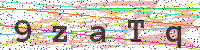 Enter Security Code