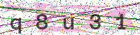 Enter Security Code