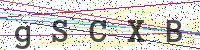 Enter Security Code