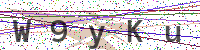Enter Security Code