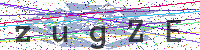 Enter Security Code