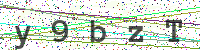 Enter Security Code