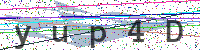 Sicherheitscode eingeben