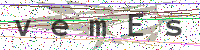 Enter Security Code