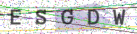 Enter Security Code