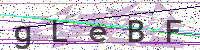 Enter Security Code