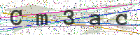 Enter Security Code