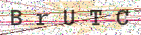 Enter Security Code