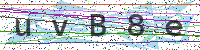 Sicherheitscode eingeben