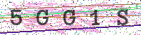 Enter Security Code