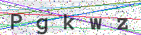Sicherheitscode eingeben