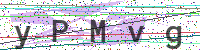 Enter Security Code