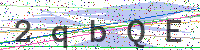 Enter Security Code