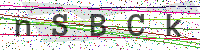 Enter Security Code