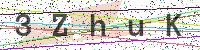 Enter Security Code